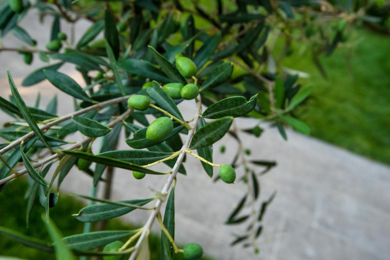 Peraía Olive 301 아파트 외부 사진